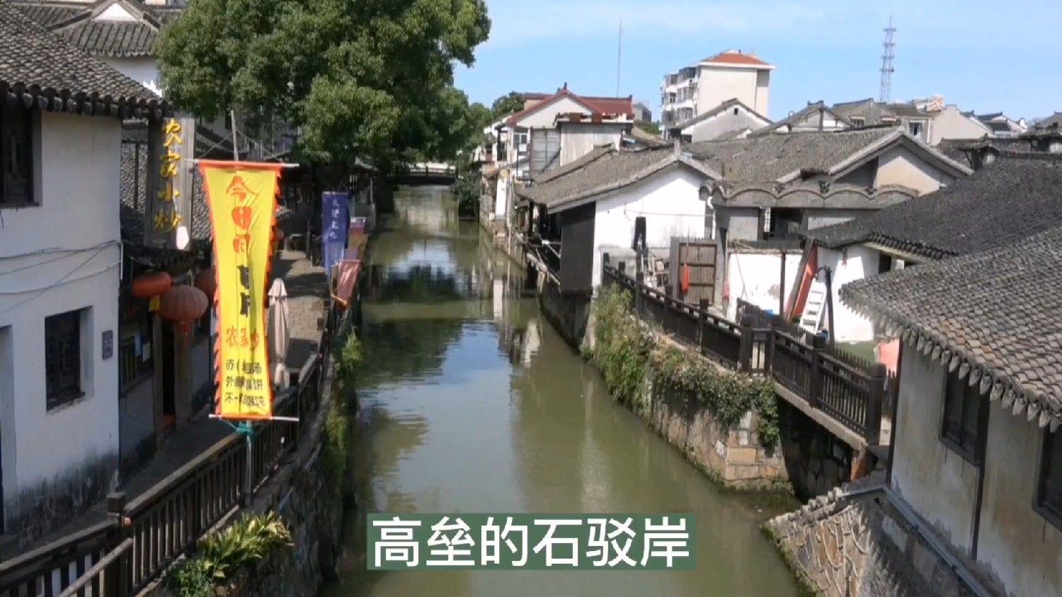 “共筑‘百千万工程’,青春建功正当时” | 团县委开展“共话‘百千万工程’”青年人才交流沙龙活动